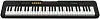 Casio CT-S100 Синтезатор.-1